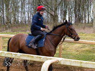 BP210325-37 - Squire Danagher
